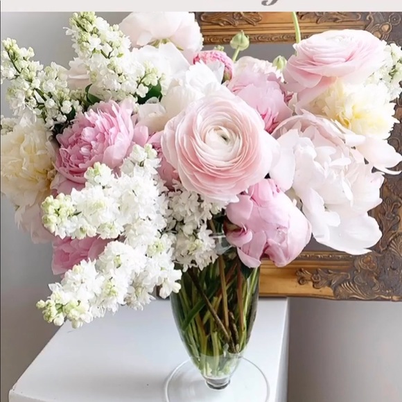 Meet your Posher, Lisa - Picture 1 of 1